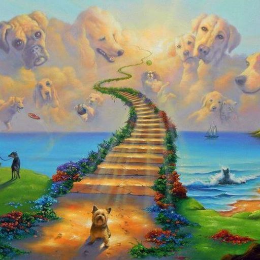 el-puente-del-arcoiris